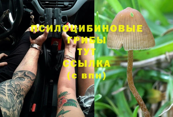 кокаин премиум Михайлов